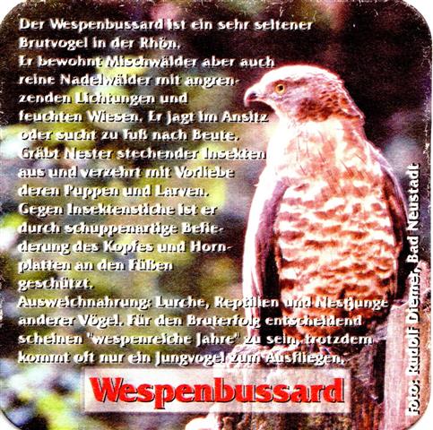 hausen nes-by rother greif 10b (quad180-wespenbussard) 